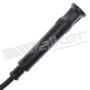 Walker Products 924-1268 ThunderCore PRO 924-1268 Spark Plug Wire Set