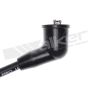 Walker Products 924-1284 ThunderCore PRO 924-1284 Spark Plug Wire Set