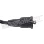 Walker Products 924-1284 ThunderCore PRO 924-1284 Spark Plug Wire Set