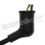 Walker Products 924-1292 ThunderCore PRO 924-1292 Spark Plug Wire Set