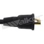 Walker Products 924-1292 ThunderCore PRO 924-1292 Spark Plug Wire Set