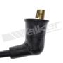 Walker Products 924-1296 ThunderCore PRO 924-1296 Spark Plug Wire Set