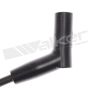 Walker Products 924-1302 ThunderCore PRO 924-1302 Spark Plug Wire Set