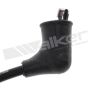 Walker Products 924-1303 ThunderCore PRO 924-1303 Spark Plug Wire Set