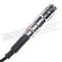 Walker Products 924-1321 ThunderCore PRO 924-1321 Spark Plug Wire Set