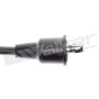 Walker Products 924-1344 ThunderCore PRO 924-1344 Spark Plug Wire Set