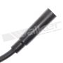 Walker Products 924-1350 ThunderCore PRO 924-1350 Spark Plug Wire Set