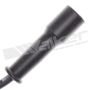 Walker Products 924-1354 ThunderCore PRO 924-1354 Spark Plug Wire Set