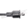 Walker Products 924-1396 ThunderCore PRO 924-1396 Spark Plug Wire Set