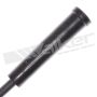 Walker Products 924-1406 ThunderCore PRO 924-1406 Spark Plug Wire Set