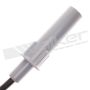 Walker Products 924-1418 ThunderCore PRO 924-1418 Spark Plug Wire Set