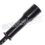 Walker Products 924-1445 ThunderCore PRO 924-1445 Spark Plug Wire Set