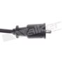 Walker Products 924-1489 ThunderCore PRO 924-1489 Spark Plug Wire Set