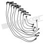 Walker Products 924-1492 ThunderCore PRO 924-1492 Spark Plug Wire Set