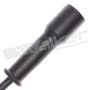 Walker Products 924-1502 ThunderCore PRO 924-1502 Spark Plug Wire Set