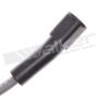 Walker Products 924-1504 ThunderCore PRO 924-1504 Spark Plug Wire Set
