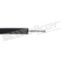 Walker Products 924-1556 ThunderCore PRO 924-1556 Spark Plug Wire Set