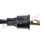 Walker Products 924-1596 ThunderCore PRO 924-1596 Spark Plug Wire Set
