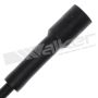 Walker Products 924-1596 ThunderCore PRO 924-1596 Spark Plug Wire Set