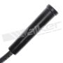 Walker Products 924-1600 ThunderCore PRO 924-1600 Spark Plug Wire Set