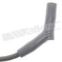 Walker Products 924-1603 ThunderCore PRO 924-1603 Spark Plug Wire Set