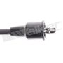 Walker Products 924-1609 ThunderCore PRO 924-1609 Spark Plug Wire Set