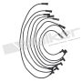 Walker Products 924-1611 ThunderCore PRO 924-1611 Spark Plug Wire Set