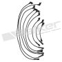 Walker Products 924-1626 ThunderCore PRO 924-1626 Spark Plug Wire Set