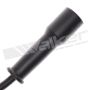 Walker Products 924-1628 ThunderCore PRO 924-1628 Spark Plug Wire Set