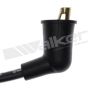 Walker Products 924-1645 ThunderCore PRO 924-1645 Spark Plug Wire Set