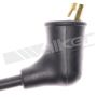 Walker Products 924-1648 ThunderCore PRO 924-1648 Spark Plug Wire Set