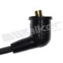 Walker Products 924-1654 ThunderCore PRO 924-1654 Spark Plug Wire Set