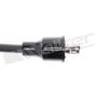 Walker Products 924-1664 ThunderCore PRO 924-1664 Spark Plug Wire Set