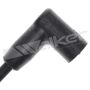 Walker Products 924-1666 ThunderCore PRO 924-1666 Spark Plug Wire Set