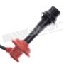 Walker Products 924-1748 ThunderCore PRO 924-1748 Spark Plug Wire Set