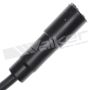 Walker Products 924-1822 ThunderCore PRO 924-1822 Spark Plug Wire Set