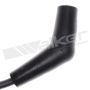 Walker Products 924-2042 ThunderCore PRO 924-2042 Spark Plug Wire Set