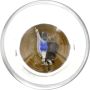 Philips P21WLLB2 Philips LongerLife Miniature P21WLL