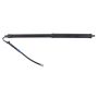 AISIN PBD-016 Power Back Door Lift Strut Assembly