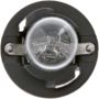 Philips PC161CP Philips Standard Miniature PC161 Pack of 10