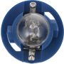 Philips PC168CP Philips Standard Miniature PC168 Pack of 10