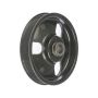 DORMAN 300-100 Power Steering Pump Pulley