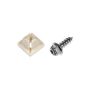 DORMAN 395-036 License Plate Fasteners- No. 14 x 3/4 In.