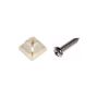 DORMAN 395-039 License Plate Fasteners- 1/4 x 1 In.