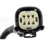 DORMAN 590-081 Park Assist Camera