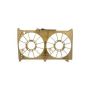 DORMAN 603-429 Fan Shroud With Integrated Coolant Reservoir