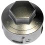 DORMAN 611-646 Silver Wheel Nut Cover, Screw and Lock Type, 19mm Hex