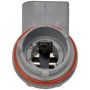 DORMAN 645-562 Tail Lamp Socket