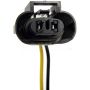 DORMAN 645-745 Wiring Harness Assembly With Two Lamp Sockets And Three Connectors