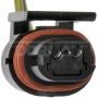 DORMAN 645-748 License Plate Lamp Socket And Harness Assembly